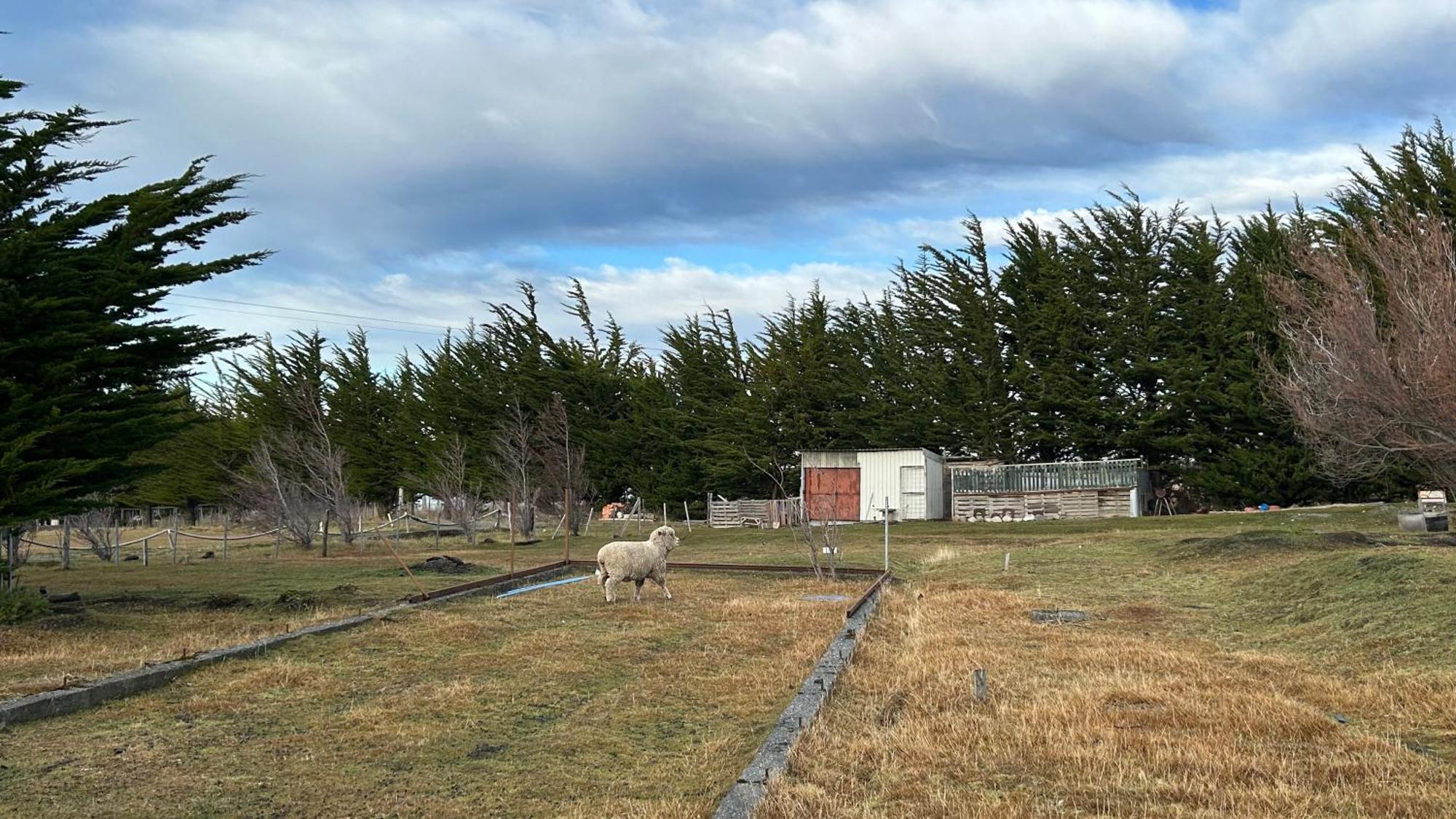 Hospedaje Isla Magdalena Punta Arenas Exteriér fotografie